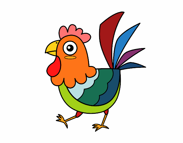 Gallina de granja