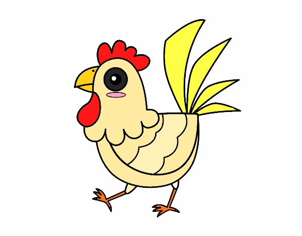 Gallina de granja