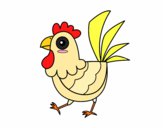 Gallina de granja