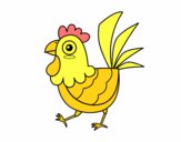 Gallina de granja