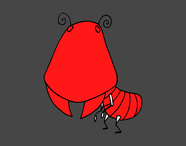 Hormiga roja