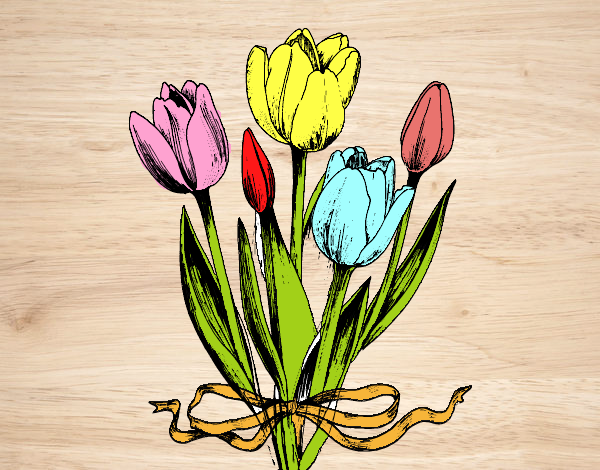 tulipanes