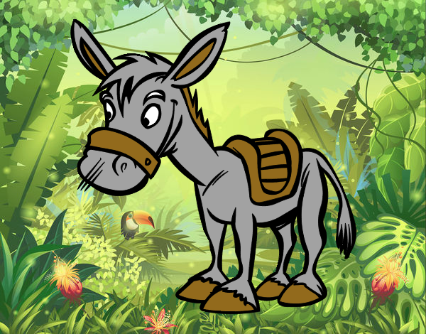 Burro de granja