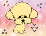 Cachorro de poodle