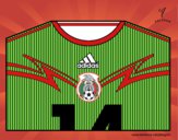 Camiseta del mundial de fútbol 2014 de México