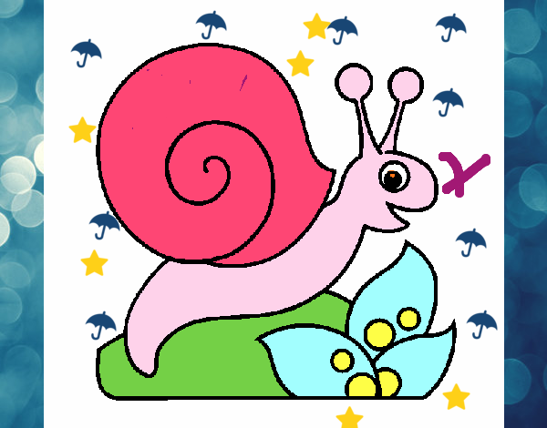 Caracol