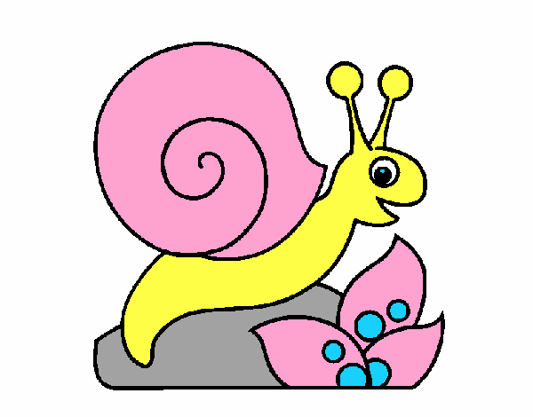 Caracol