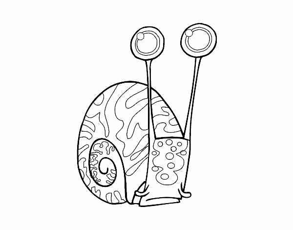 Caracol común