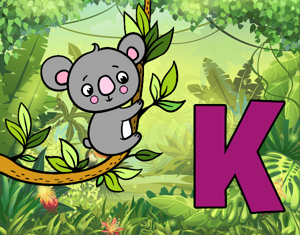 K de Koala