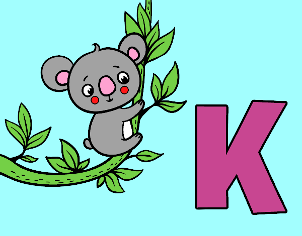 K de Koala