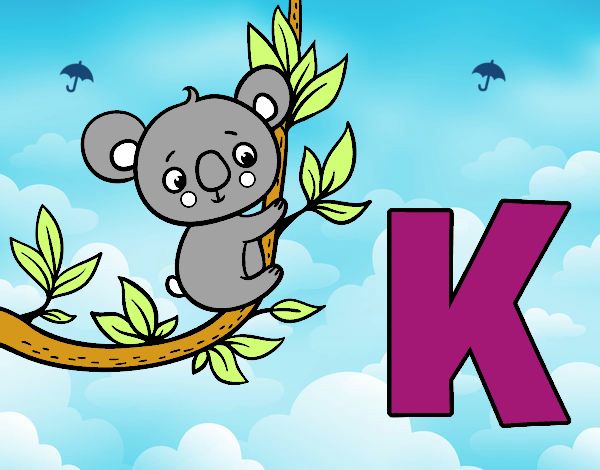 K de Koala