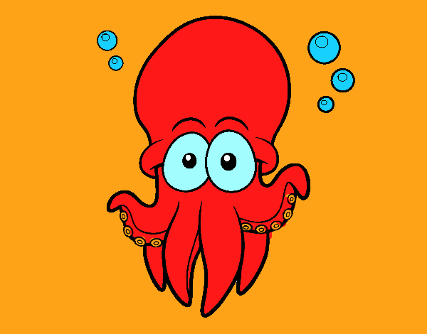 Pulpo rojo