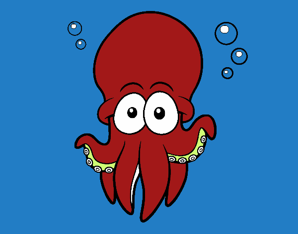 Pulpo rojo