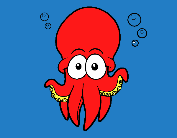 Pulpo rojo