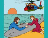 Dibujo Rescate ballena pintado por queyla