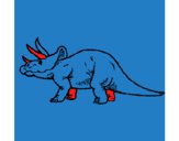 Triceratops