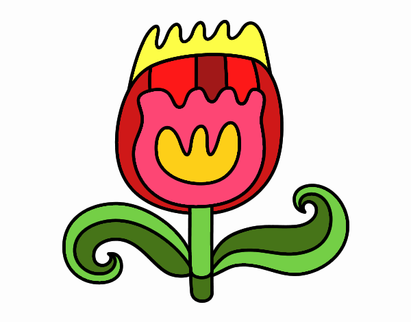 Tulipán doble