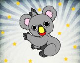 Un Koala