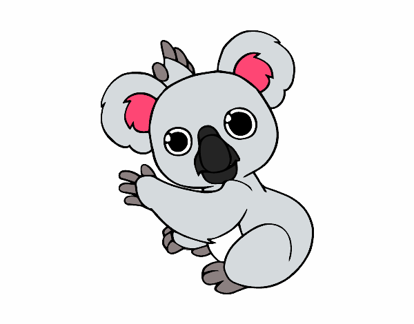 Un Koala