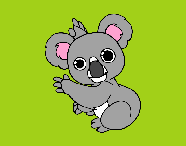 Un Koala