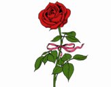 Dibujo Una rosa pintado por tilditus