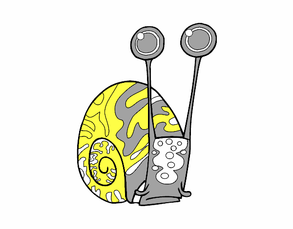 Caracol común