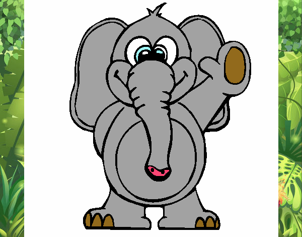 Elefante 2