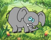 Elefante vergonzoso