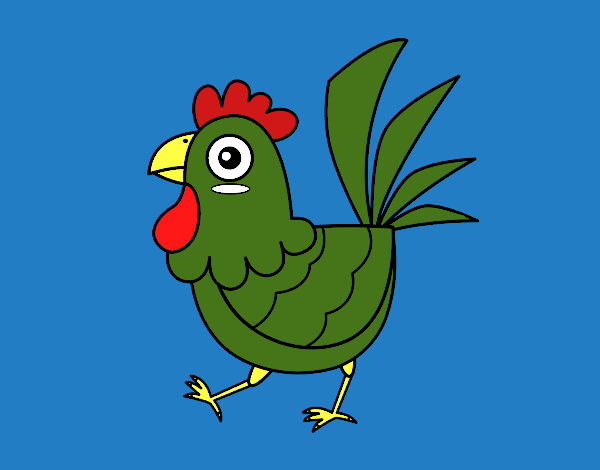 Gallina de granja