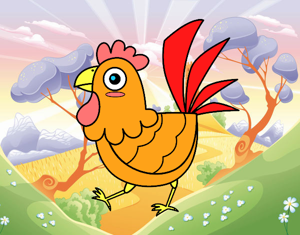 Gallina de granja