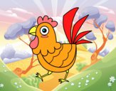 Gallina de granja