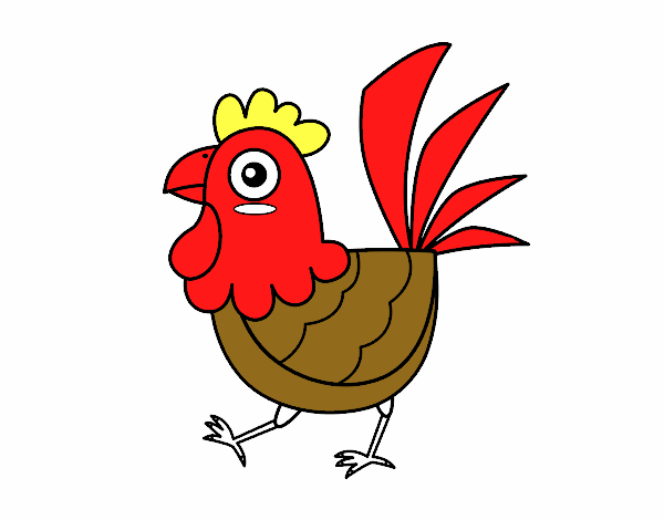 Gallina de granja