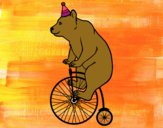 Oso en bicicleta