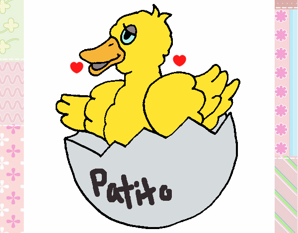 Patito en el cáscaron