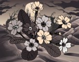 Dibujo Primula pintado por queyla
