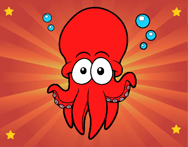 Pulpo rojo