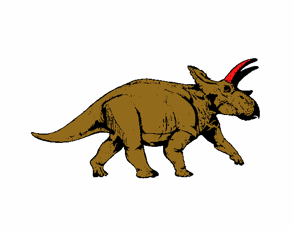 Triceratops 1