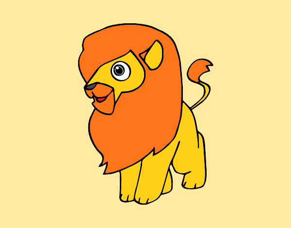 Un león