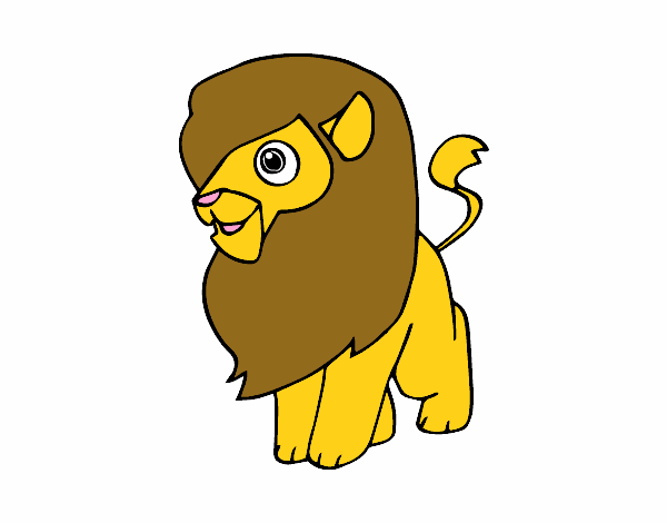 Un león