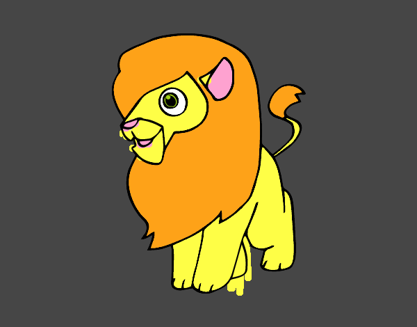 Un león