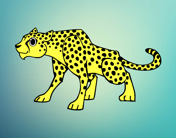 Un leopardo