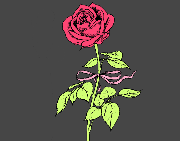 Una rosa