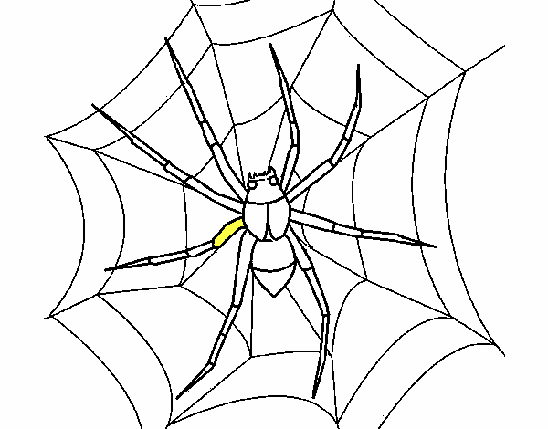 Araña