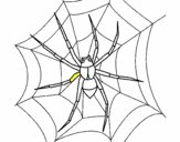 Araña