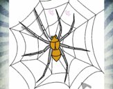 Araña