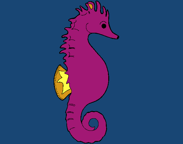 caballito de mar 