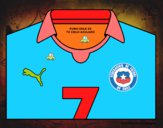 Camiseta del mundial de fútbol 2014 de Chile