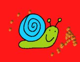 Caracol 4