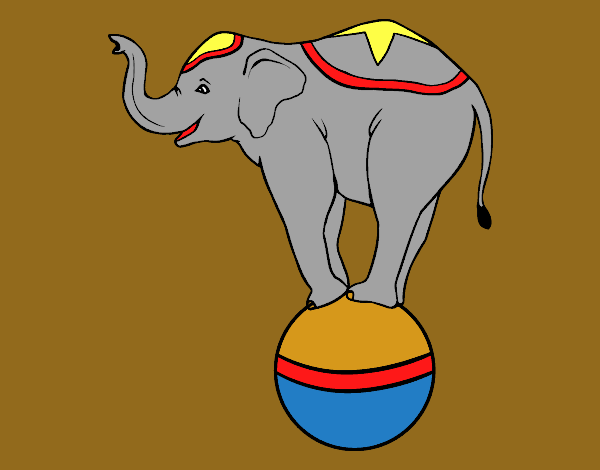 Elefante equilibrista