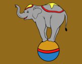 Elefante equilibrista